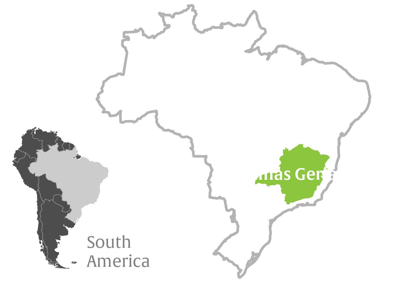 Brazil Minas Gerais